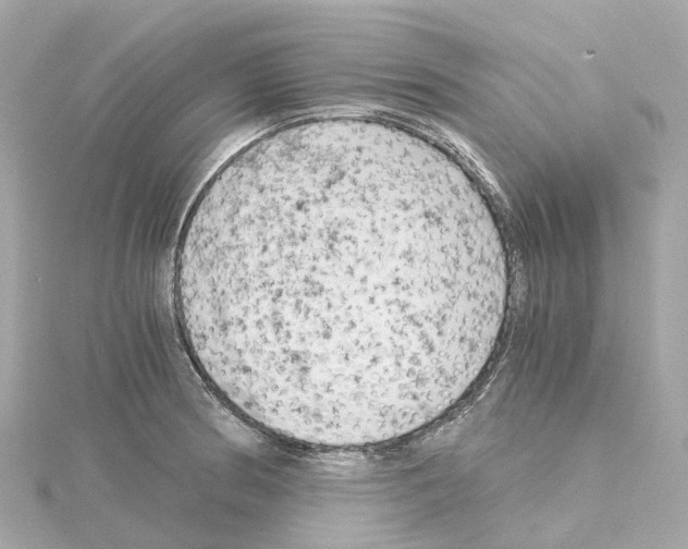 X0000114431186200911271611