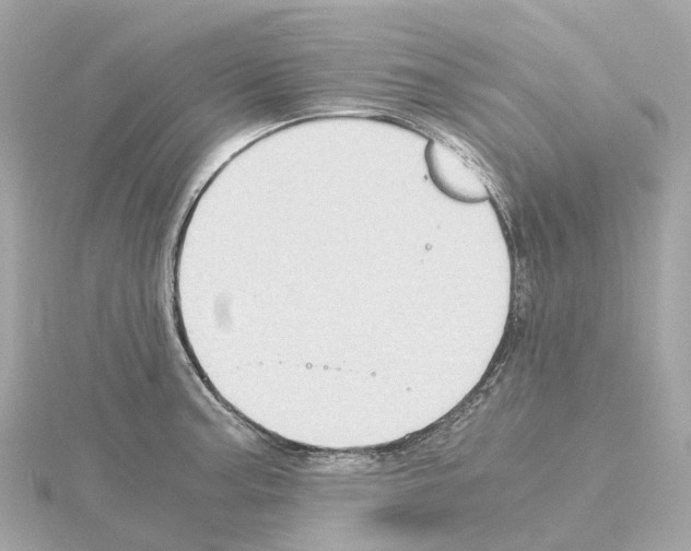 X0000114431187200911271611