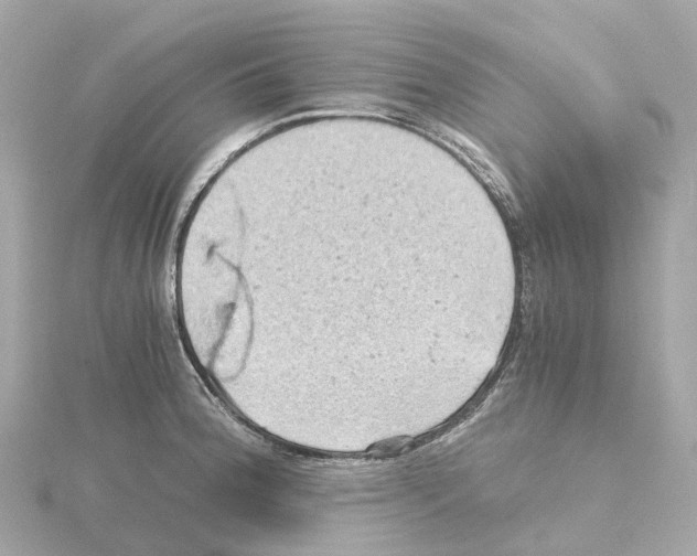 X0000114431188200911271611