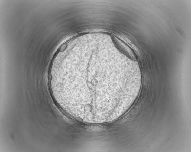 X0000114431189200911271611