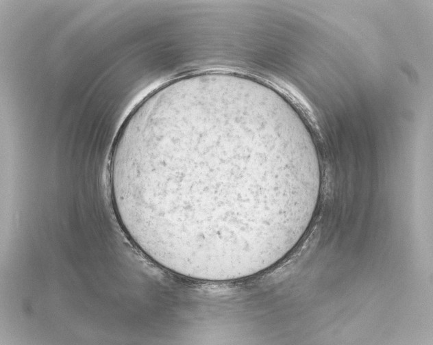 X0000114431190200911271611