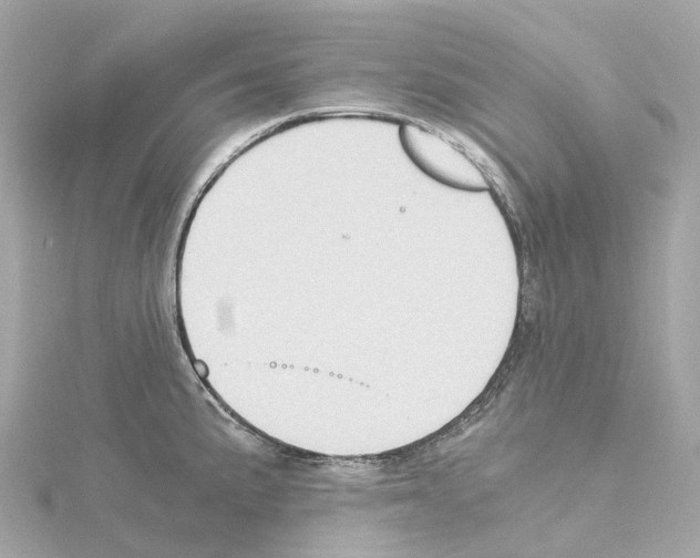 X0000114431191200911271611