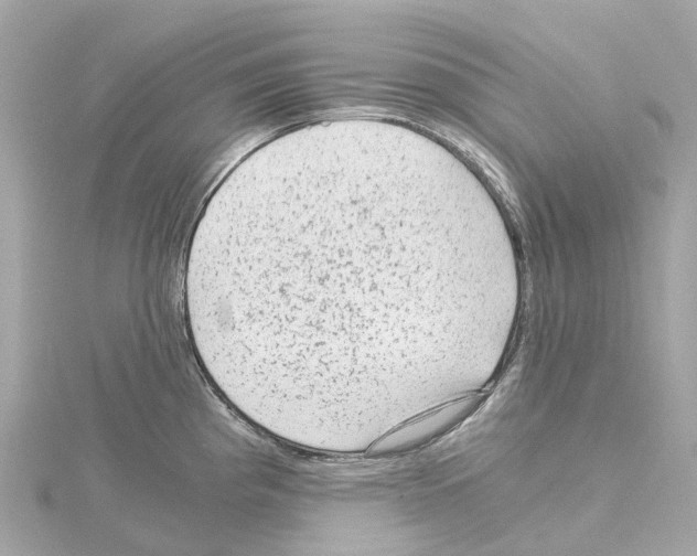 X0000114431193200911271611