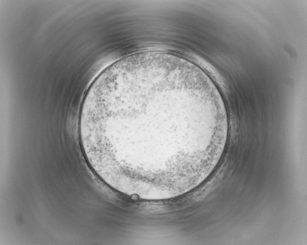 X0000114431194200911271611