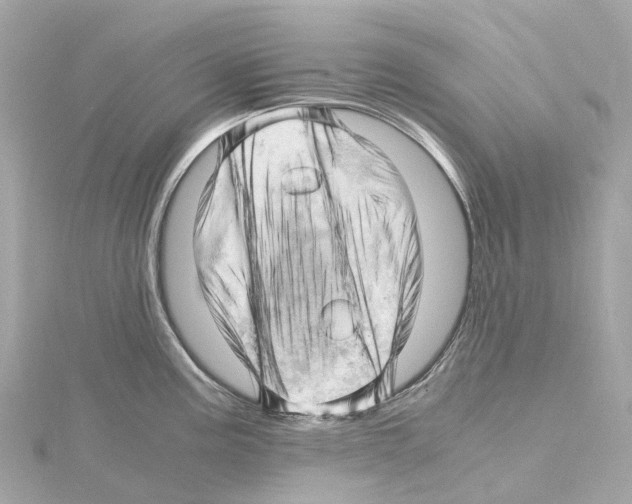 X0000114431195200911271611