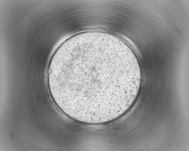 X0000114431196200911271611