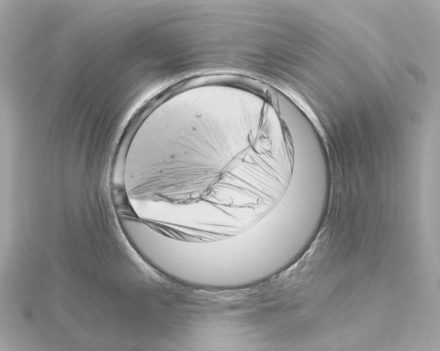 X0000114431197200911271611