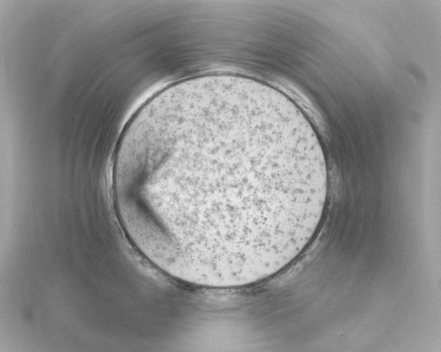 X0000114431198200911271611