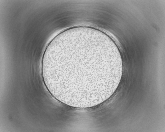 X0000114431199200911271611