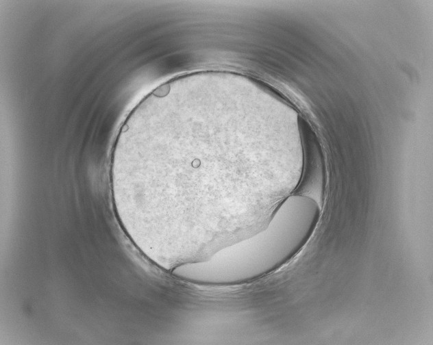 X0000114431200200911271611