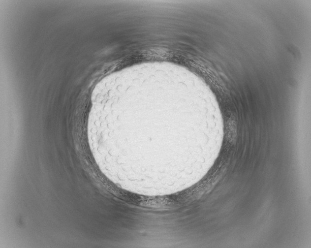 X0000114431201200911271610