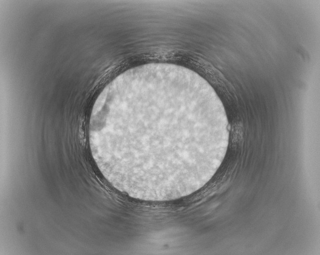 X0000114431202200911271610