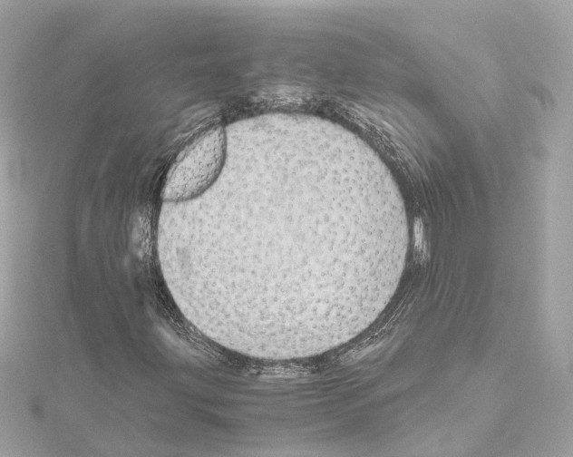 X0000114431203200911271610