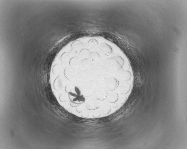 X0000114431205200911271610