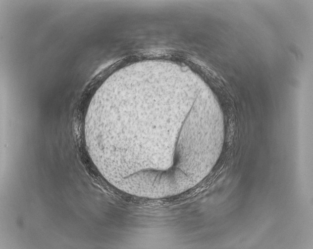 X0000114431206200911271610