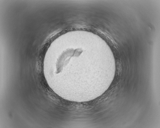 X0000114431207200911271610