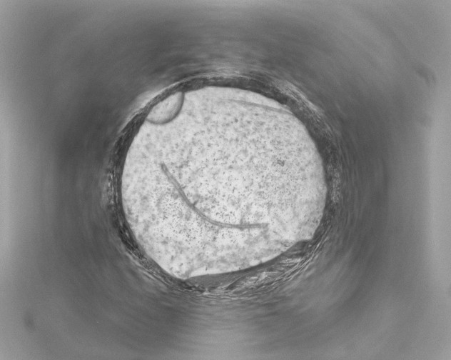 X0000114431208200911271610