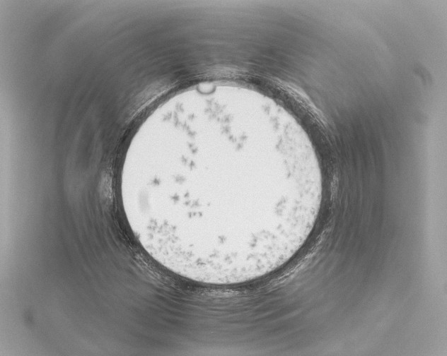 X0000114431209200911271610