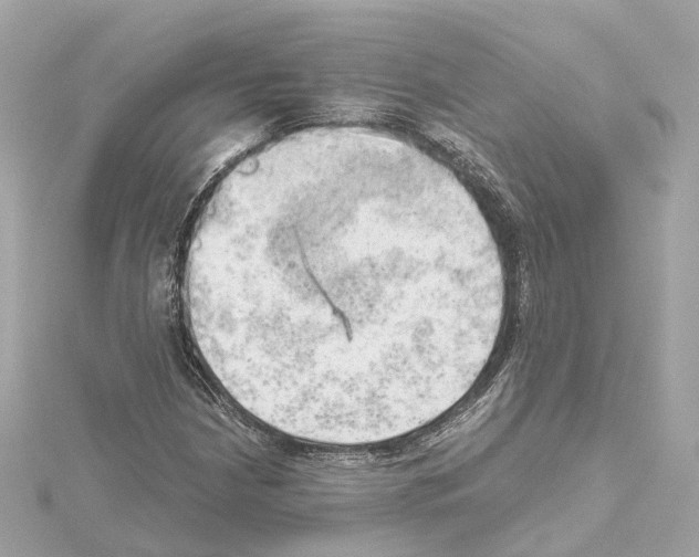 X0000114431210200911271610