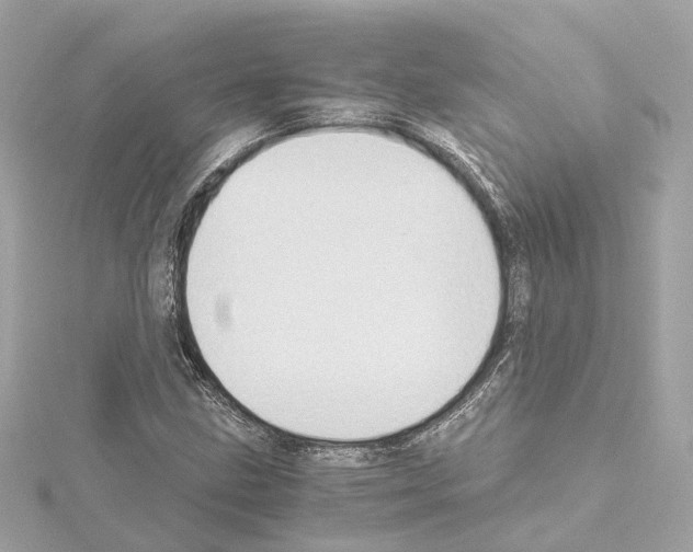 X0000114431211200911271610