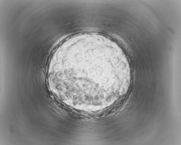 X0000114431212200911271610