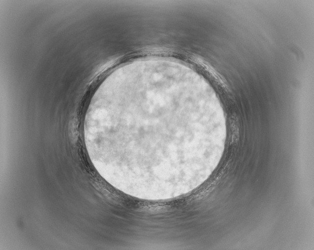 X0000114431213200911271610