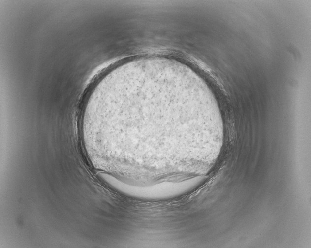 X0000114431214200911271610