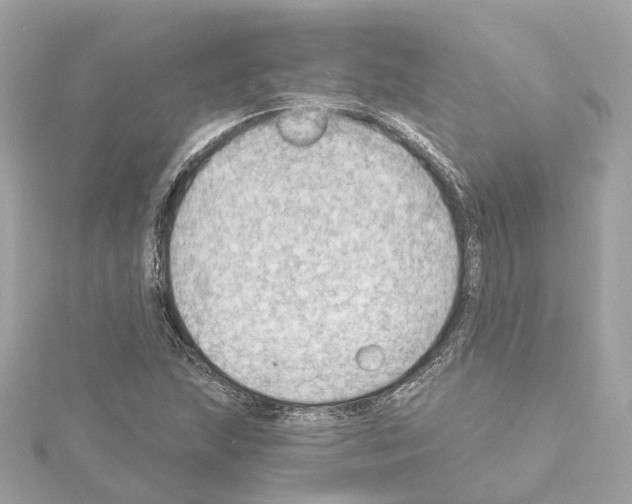 X0000114431215200911271610