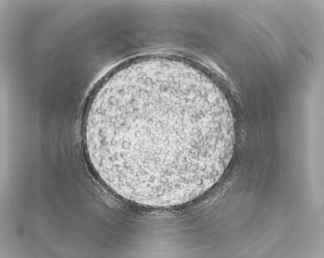 X0000114431216200911271611