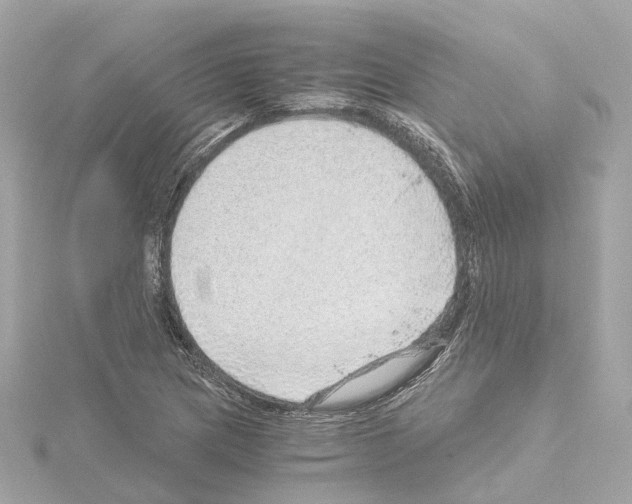 X0000114431217200911271611