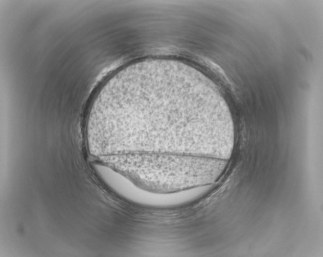 X0000114431218200911271611