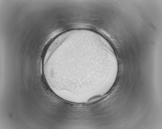 X0000114431219200911271611