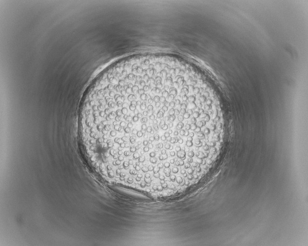 X0000114431220200911271611