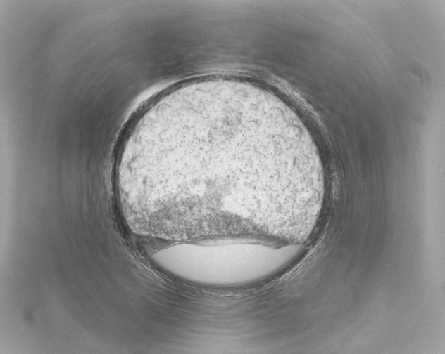 X0000114431222200911271611