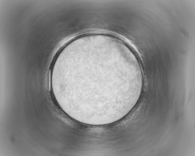 X0000114431223200911271611