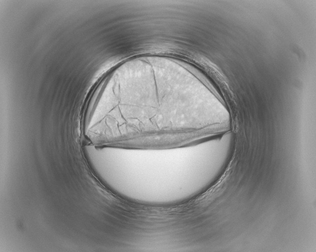 X0000114431226200911271611