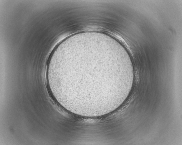 X0000114431227200911271611