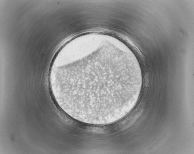 X0000114431229200911271611