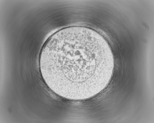 X0000114431230200911271611