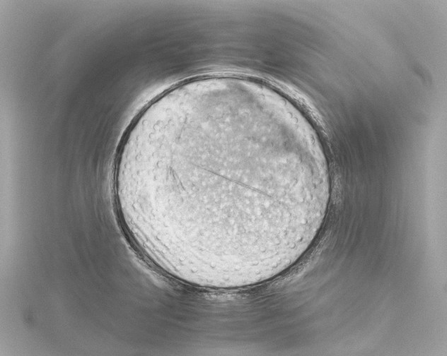 X0000114431231200911271611