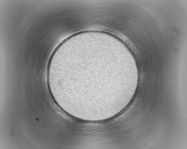 X0000114431232200911271611