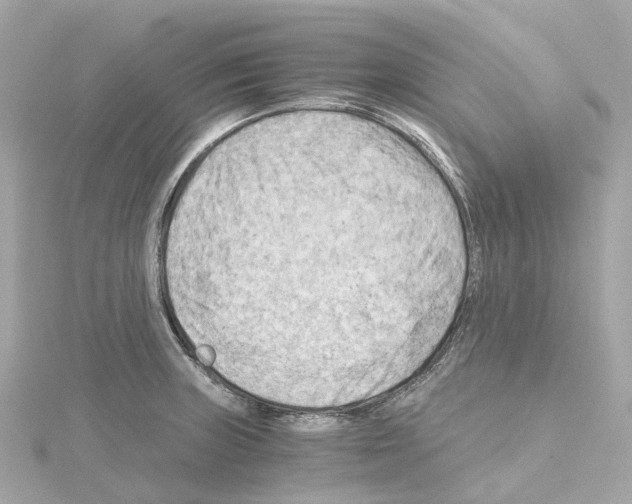 X0000114431235200911271611