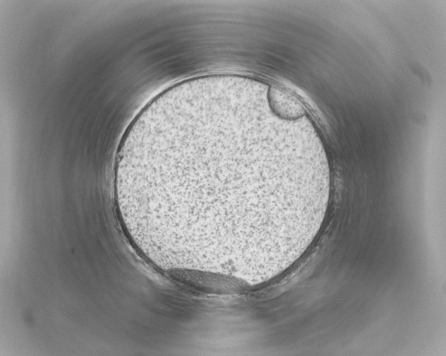 X0000114431236200911271611