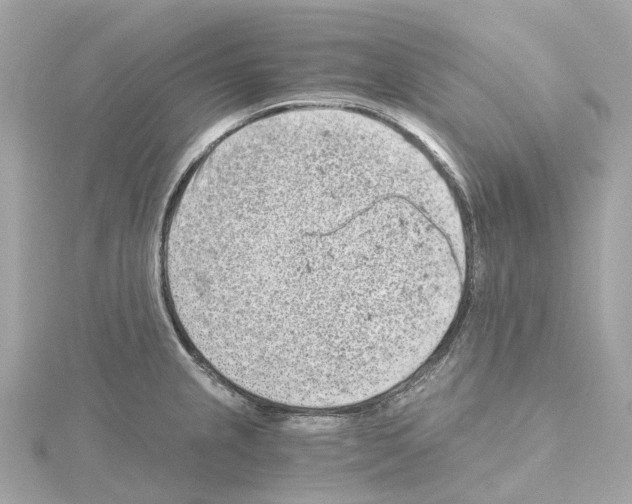 X0000114431237200911271611