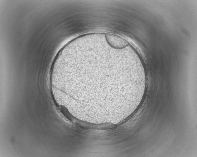 X0000114431238200911271611