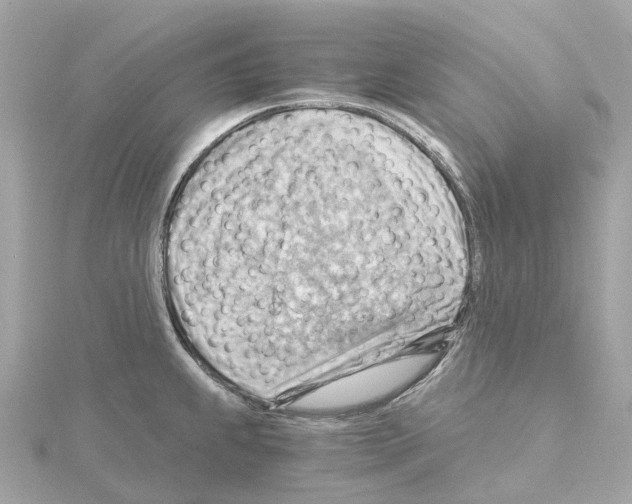 X0000114431239200911271611