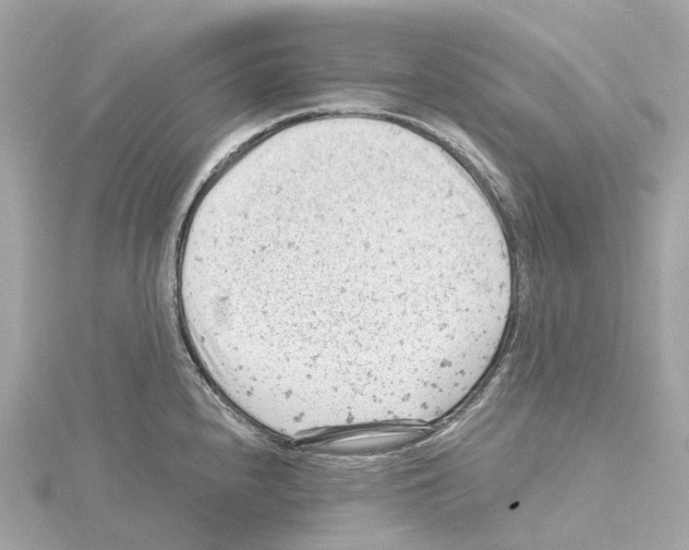 X0000114431240200911271611