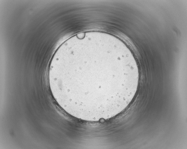 X0000114431242200911271611