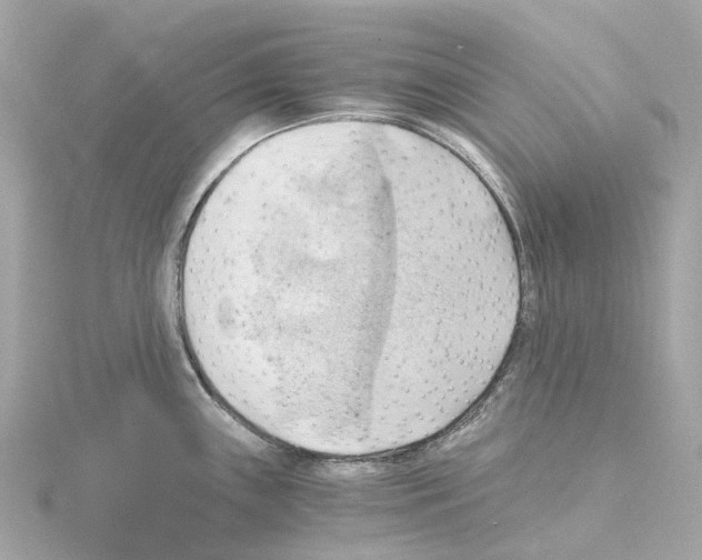 X0000114431243200911271611