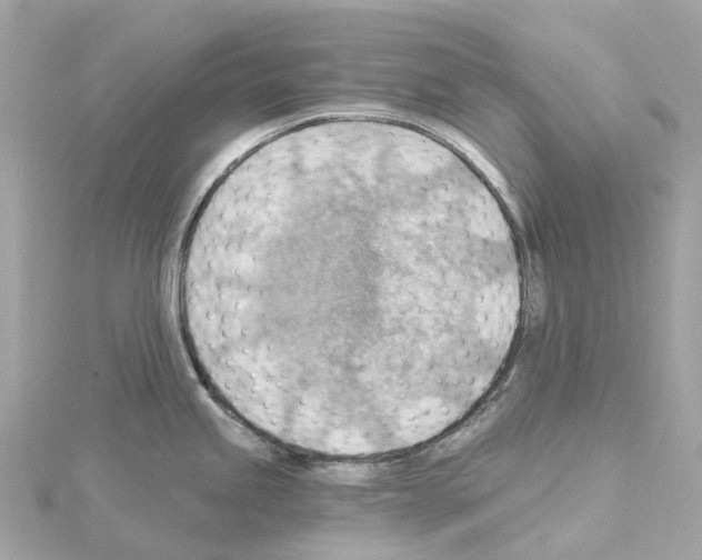 X0000114431245200911271611